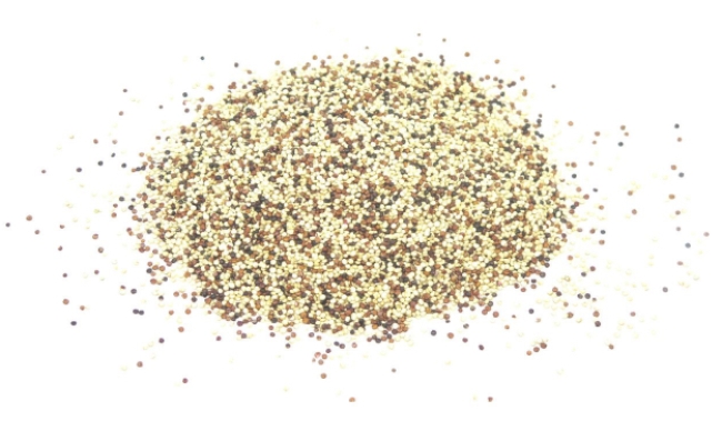Quinoa tricolore BIO_Bioexpert